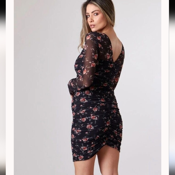 Zara Ruched Tulle Rose Pattern Dress with Mesh Long Sleeves - Picture 7 of 14